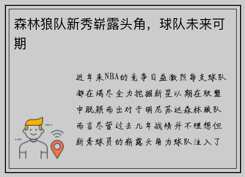 森林狼队新秀崭露头角，球队未来可期