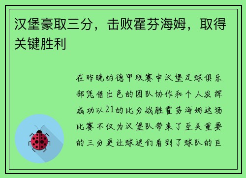 汉堡豪取三分，击败霍芬海姆，取得关键胜利